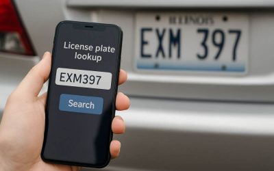How to check if a car is stolen by license plate?