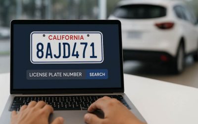 How to verify plate number online?